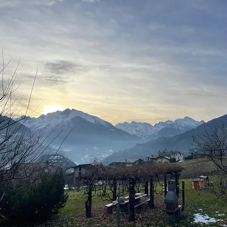 Verger Plein Soleil
