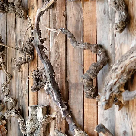 Verger Plein Soleil Saint-Pierre