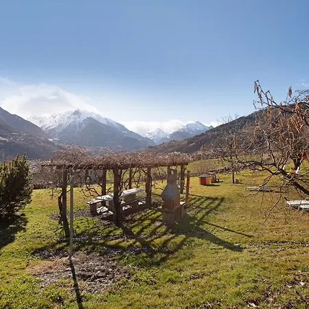 Verger Plein Soleil *