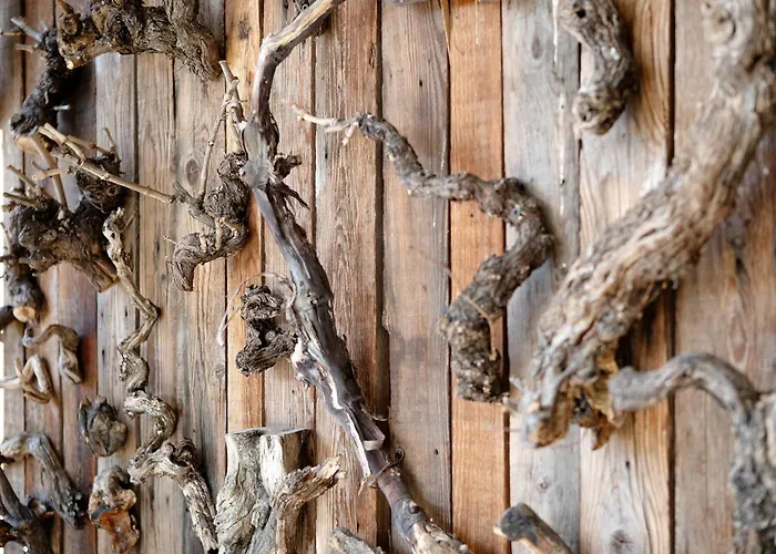 Verger Plein Soleil Saint-Pierre