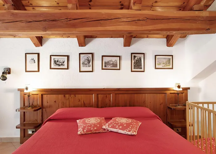 Verger Plein Soleil *