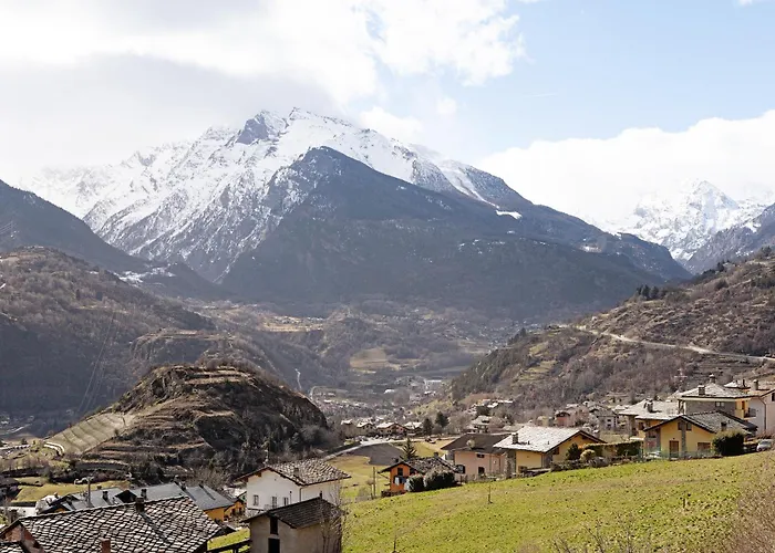 Verger Plein Soleil *